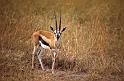 WT 1400 194-08 Kenya